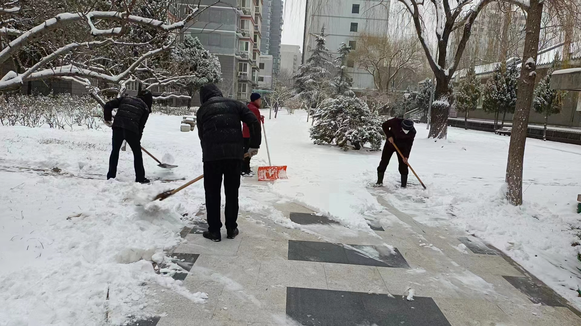国天物业党支部成立志愿服务队开展扫雪除冰活动